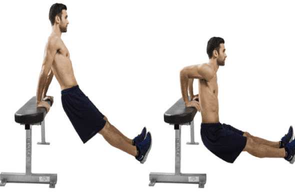 Dumbbell Tricep Dips