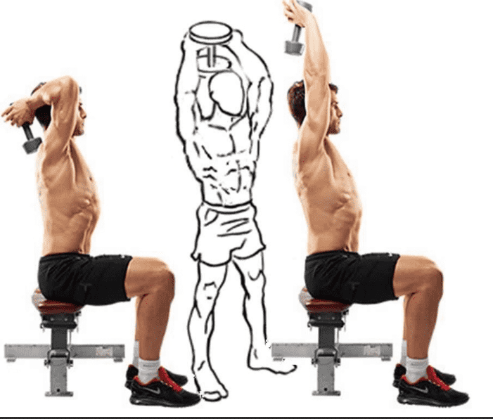 Dumbbell Tricep Hammer Curls