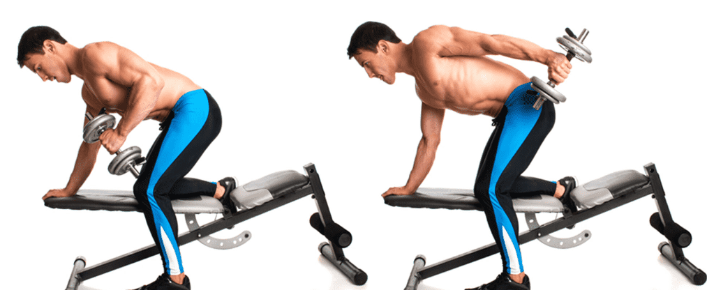 Dumbbell Tricep Kickbacks